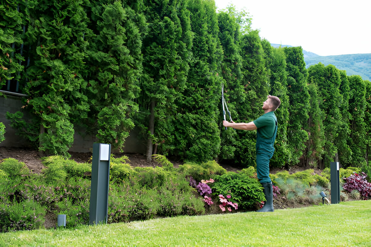 Landscape Care