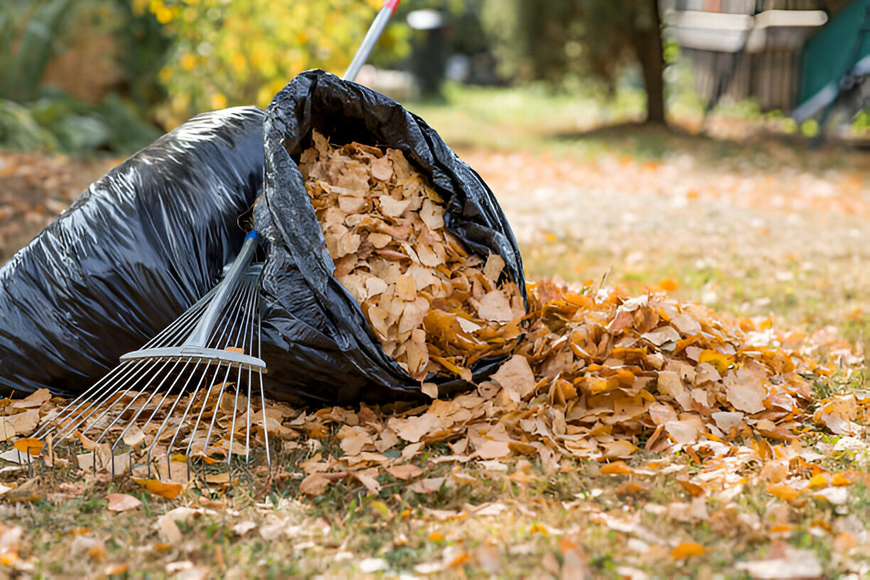 Seasonal & General Cleanup
