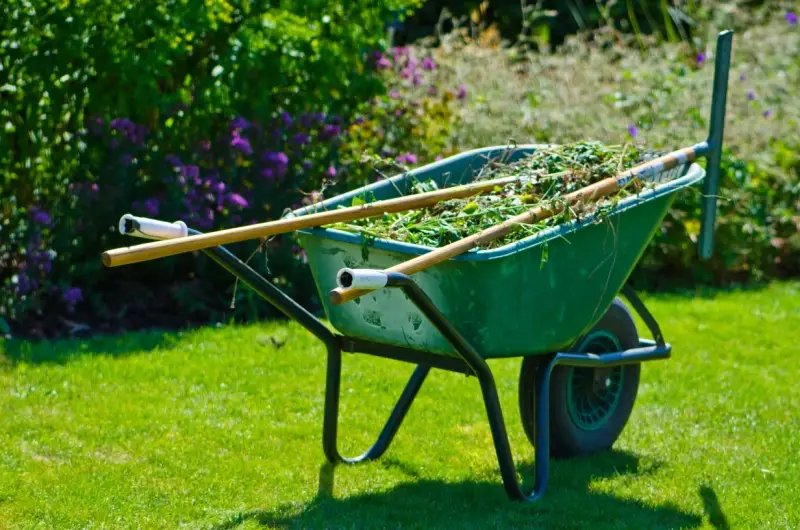 Spring Cleanup