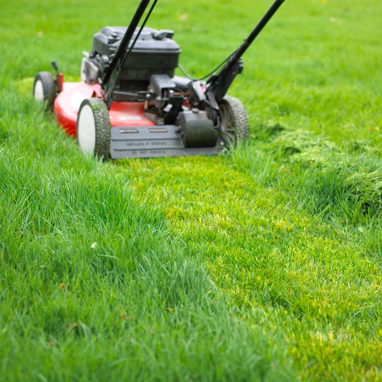 Lawn Mowing